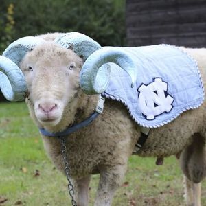 Meet your Posher, Vicki